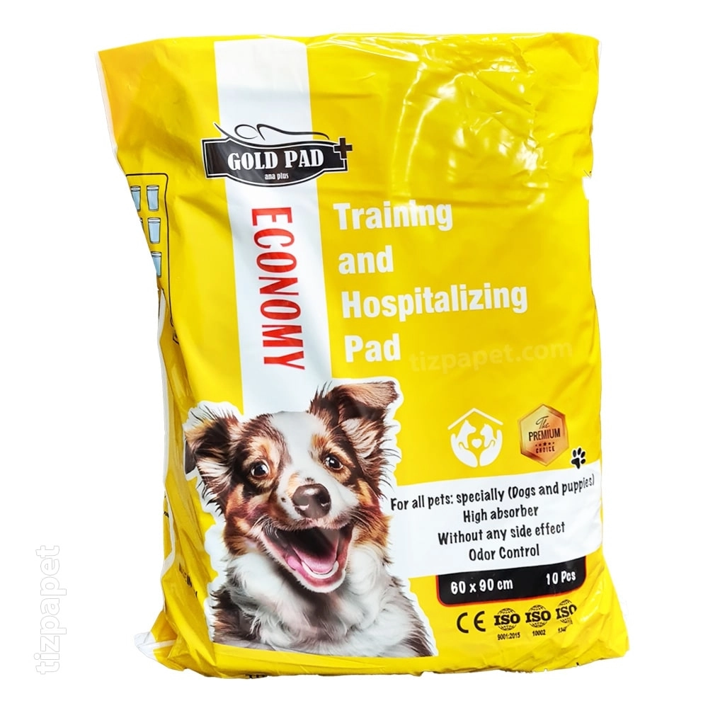 پد زیرانداز اکونومی 10 عددی گلد پد